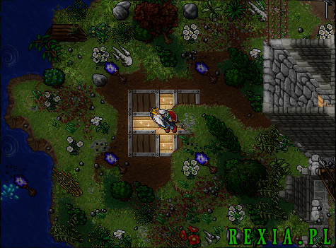 rexia