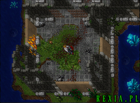 rexia