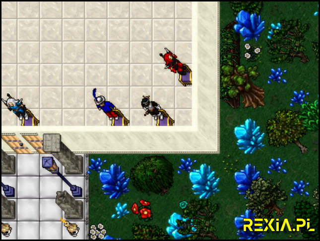 rexia