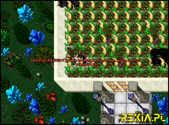rexia